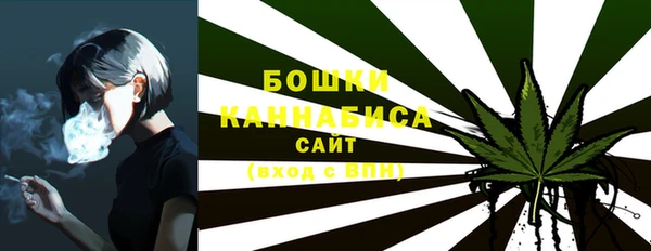 МДПВ Бронницы