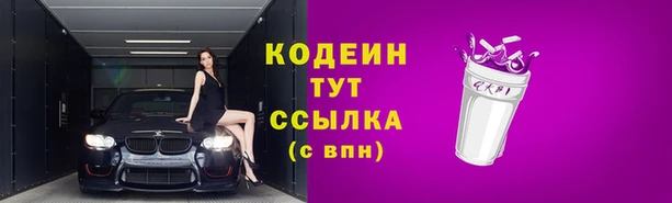 шишки Верхний Тагил