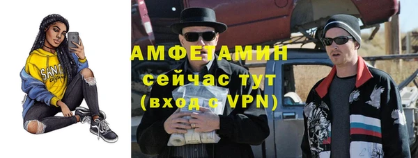 шишки Верхний Тагил