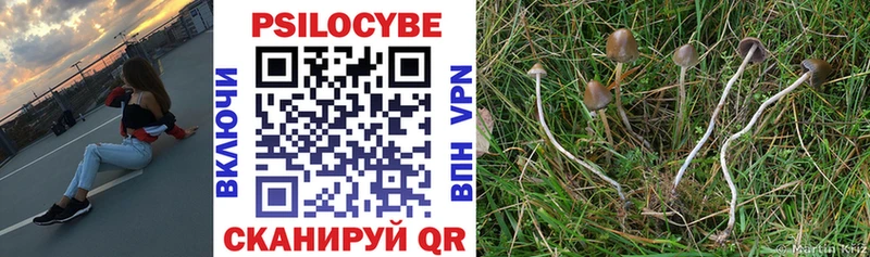 сайты даркнета формула  Кирово-Чепецк  Псилоцибиновые грибы Psilocybine cubensis 